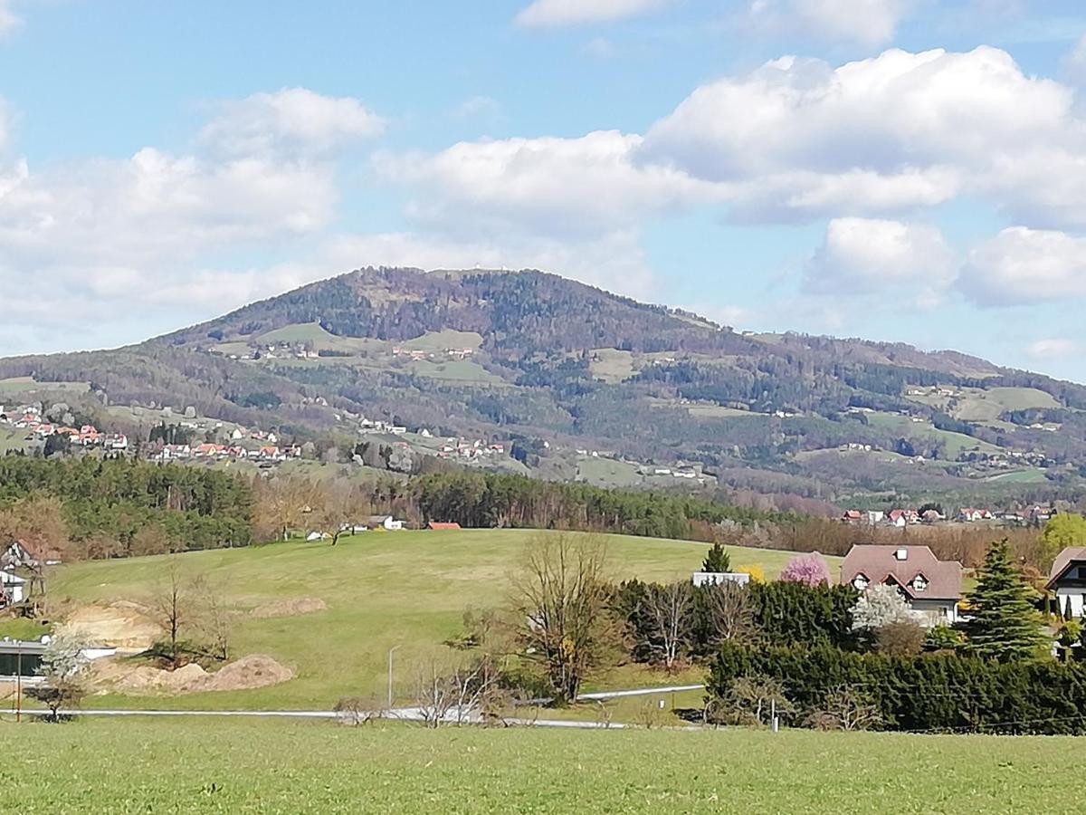Ferienwohnung Wachmann Rohrbach am Kulm Habitación foto